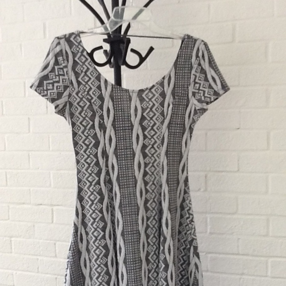 Super cute Acemi skater dress